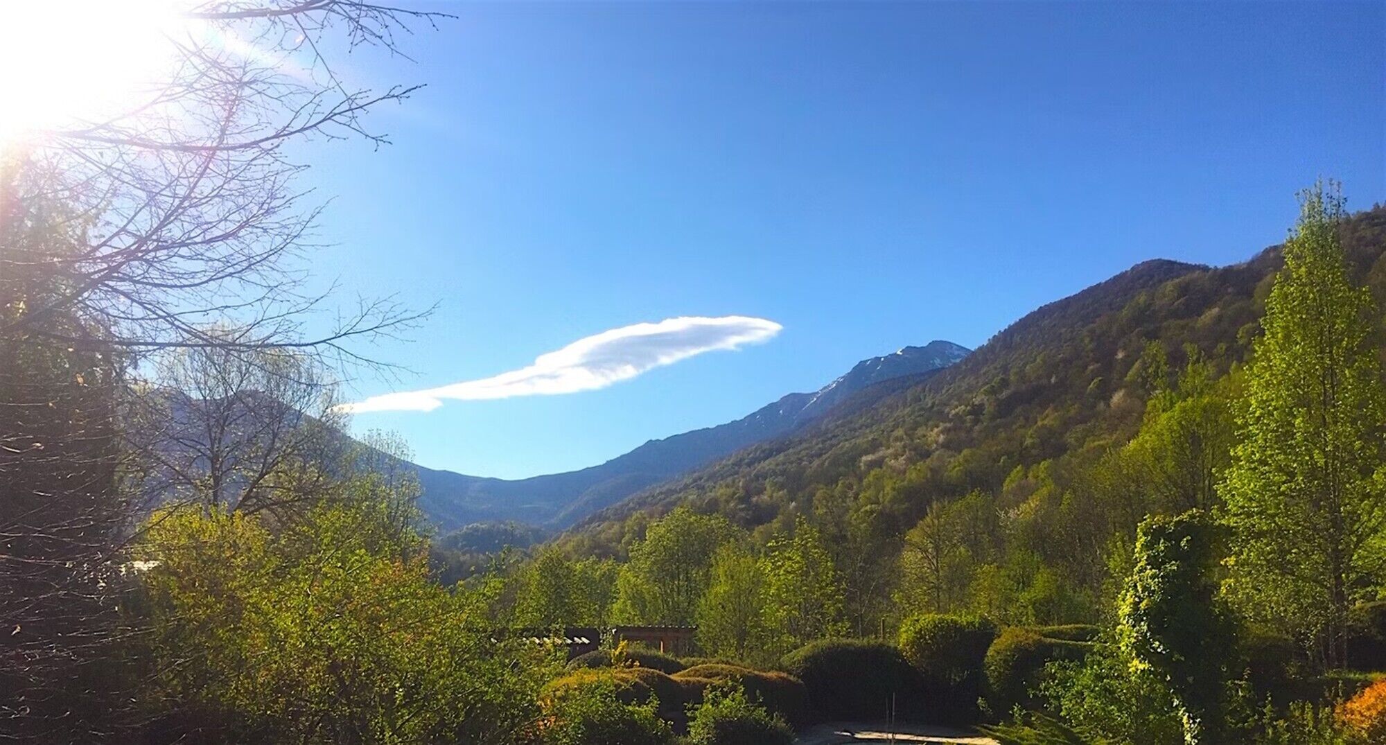 Paisatge de muntanya amb vegetació densa i cel serè.