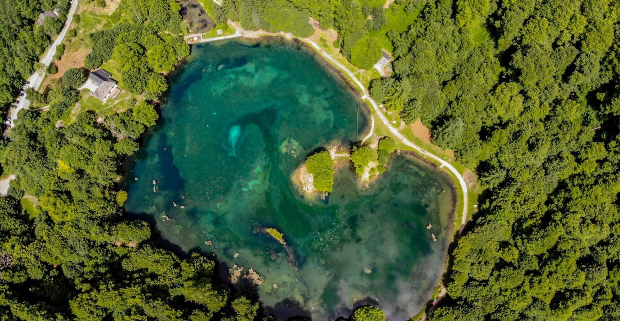 Luftaufnahme einer Küstenlandschaft mit einem großen Gewässer, umgeben von dichtem Wald.