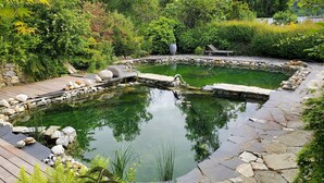 Un jardin paisible avec un bassin, une terrasse en bois et un sentier en pierre.