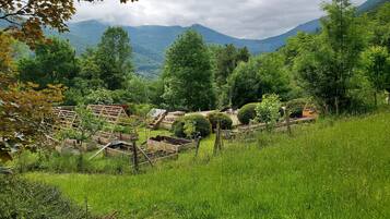 A rural landscape with a wooden structure, possibly a farm or garden, surrounded by lush greenery and mountains in the background.