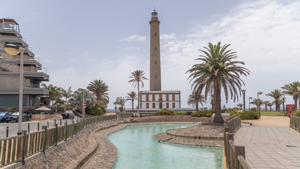 A swimming pool with a stone border, a tall tower, and palm trees.