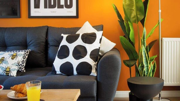 A modern living room with a dark grey sofa, a coffee table with a glass of orange juice, and a large green plant.