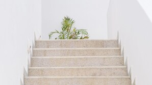 Una escalera con una planta en la parte superior.