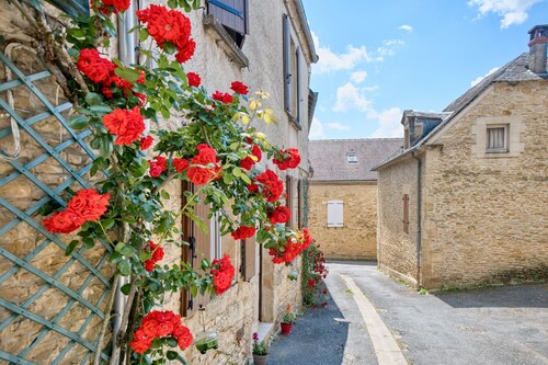 Orchidée - Holiday Home in the Heart of Périgord Noir with Shared Heated Pool