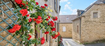 Orchidée - Vakantiehuis in het hart van de Périgord Noir met gedeeld verwarmd zwembad