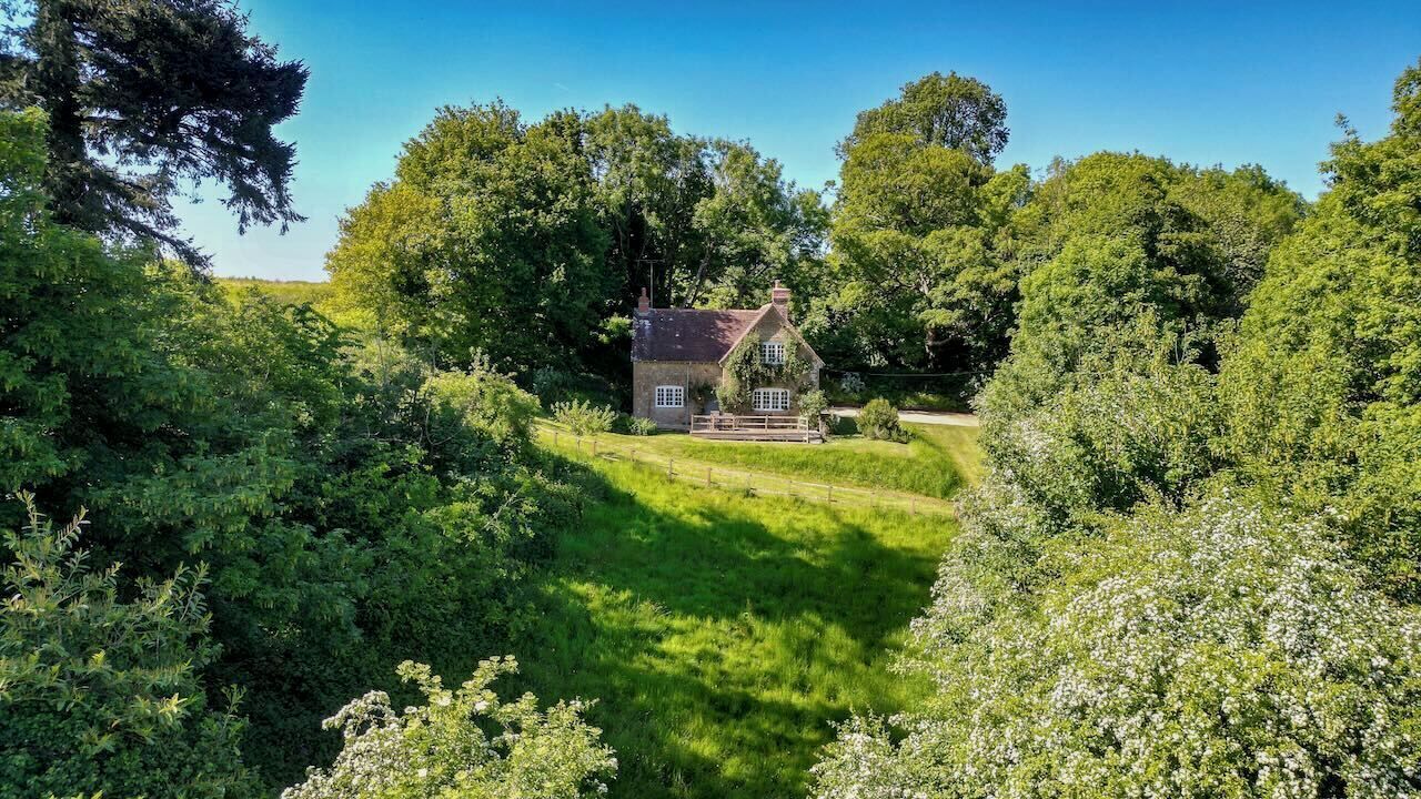 A house surrounded by lush greenery and a clear blue sky.