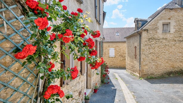 A narrow street with stone buildings, a metal fence, and red flowers.