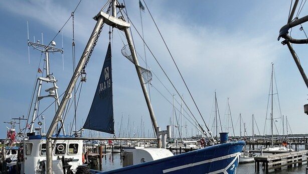 A blue fishing boat named MAR19 docked at a marina with other boats in the background. - Vacation apartment no. 2 with its own jetty/barge (Maasholm)