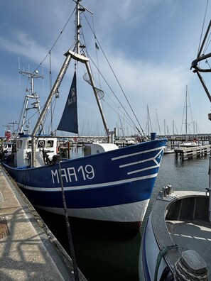 Un bote pesquero azul llamado MAR19 amarrado en un puerto deportivo, con otros barcos al fondo.