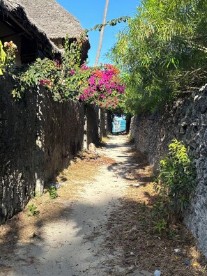 Beach nearby, white sand