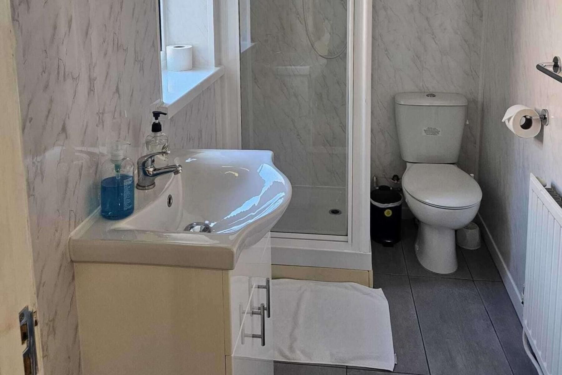 Une salle de bain avec un lavabo, des toilettes et une douche.