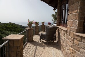 テラス / パティオ