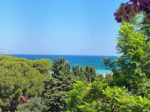 A coastal landscape with dense greenery and a clear view of the sea. - Cumbalıca Flora (Cesme)