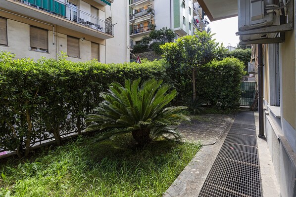 Un sendero estrecho bordeado por setos cuidados y una palmera, que conduce a un edificio con balcones y una entrada portonada.