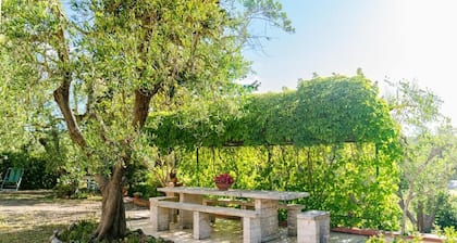 Private villa with Jacuzzi in Montemerano, near Terme di Saturnia