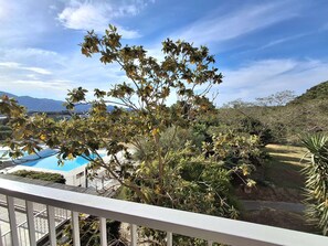 Property grounds - Cozy studio in St-Florent with private terrace (Saint-Florent)