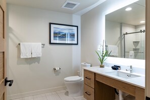 Regadera, secadora de cabello, toallas 