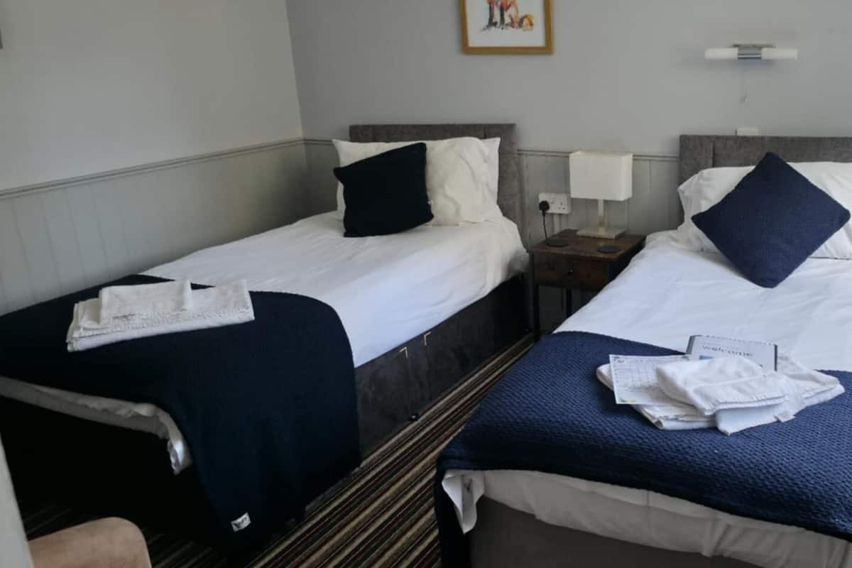 Une chambre d’hôtel avec deux lits, chacun étant équipé d’un oreiller et d’une couverture. Il y a une table de chevet avec une lampe entre les deux lits.