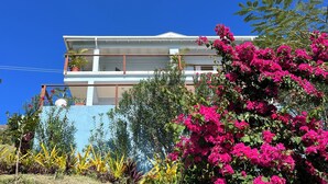 Ein modernes Gebäude mit flachem Dach und einem Balkon, umgeben von üppigem Grün und leuchtend pinkfarbenen Blüten.