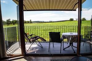 Outdoor dining - Vacations at the Stüblehof - uncomplicated, close to nature, quiet and grounded. (Markdorf)