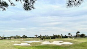 Um campo de golfe com armadilhas de areia, um caminho de concreto e palmeiras.