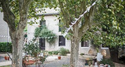 Domaine Castelnaut : Gîte and Château