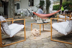 Terrace/patio - Domaine Castelnaut : Gîte and Château (Laroque-de-Fa)