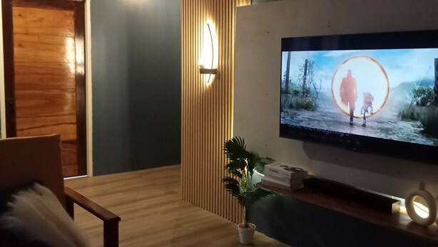 Een moderne woonkamer met een flatscreen televisie aan de muur, een houten salontafel met een decoratief object, een potplant en een houten deur.