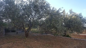 Villa, Accessible