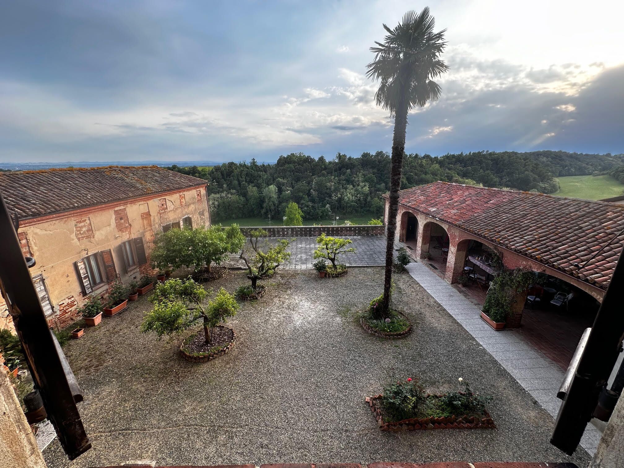 Un patio con una palmera, plantas en macetas y vistas a una zona boscosa.