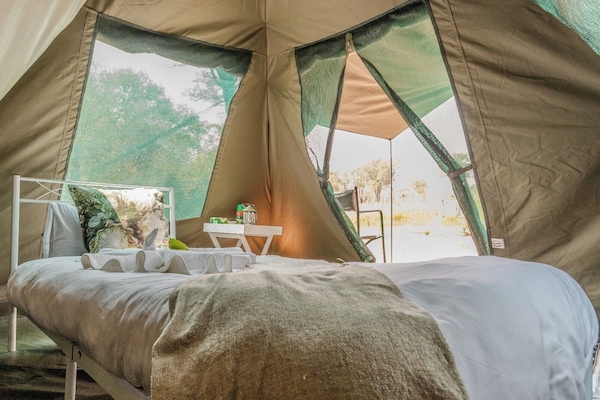 Basic Tent, 2 Twin Beds, River View | 1 bedroom