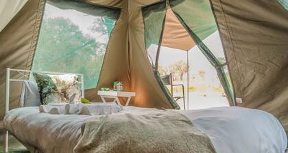 Khwai Mokoro Safaris and Campsites