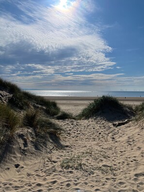 Ein Sandstrand mit Dünen und blauem Himmel.
