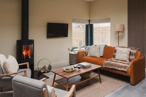 TV connectée, cheminée, livres, chaîne hi-fi