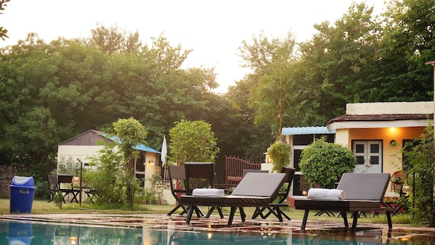 A pool area with lounge chairs, a trash bin, and a building with a blue roof. - Shikaar Valley (Sawai Madhopur)
