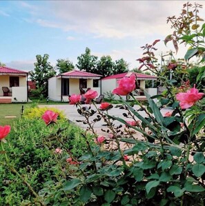 View from property - Shikaar Valley (Sawai Madhopur)