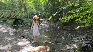 Une personne portant une robe à rayures et un chien se trouvent sur un sentier rocailleux, dans une zone boisée, avec un pont en bois en arrière-plan.