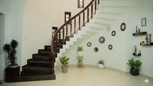 A staircase with a wooden handrail leading to an upper floor. There are potted plants on the landing and along the walls.