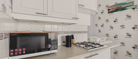 Fridge, microwave, oven, coffee/tea maker