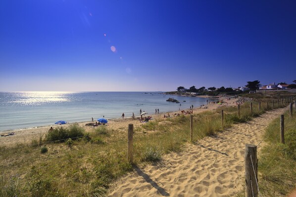 Strand