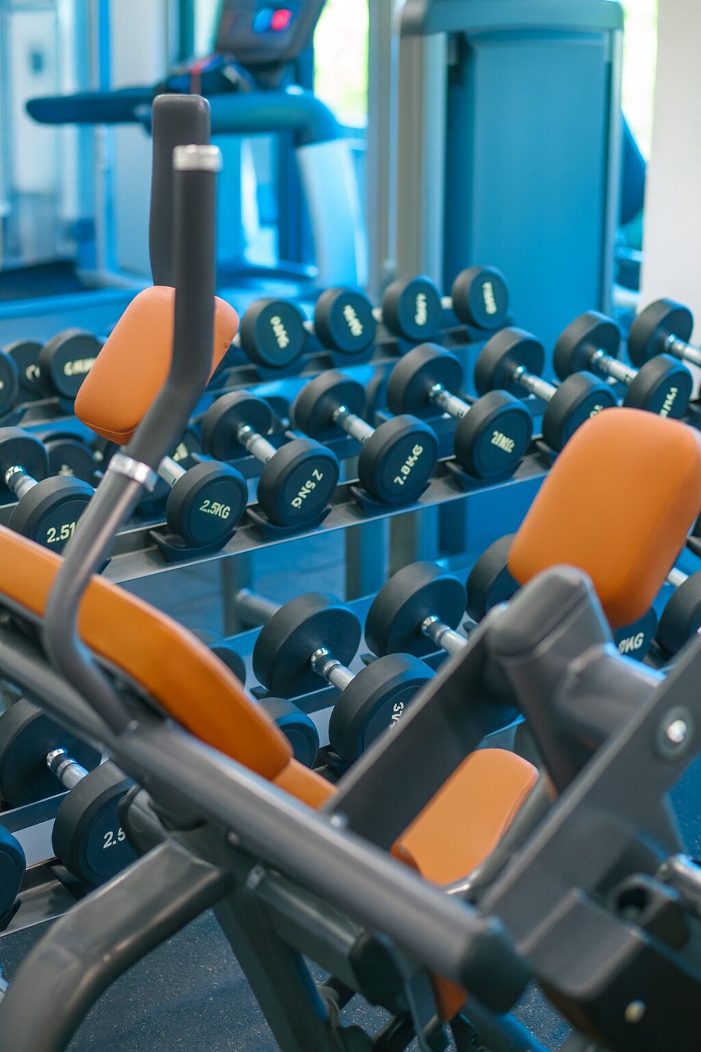 A gym with exercise equipment, including dumbbells and weight machines.