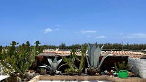 A rooftop garden with various cacti and succulents, a green watering can, and a decorative owl statue. - Welooveyou Bellatrix Starlight B10 (Costa Calma (incl. Urbanización Cañada del Río))