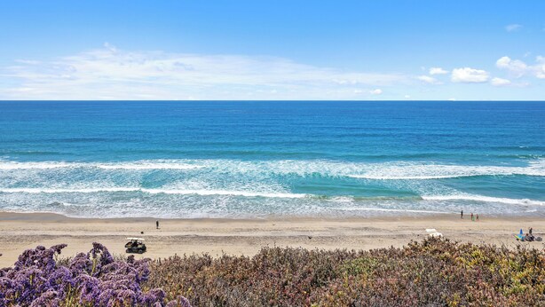 A beach with waves, a sandy shore, and some purple flowers in the foreground. - Surf Song Symphony - Luxury Oceanfront Condo with Panoramic Views (Solana Beach)
