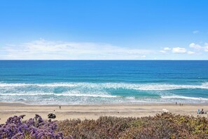 Una playa con olas, una orilla arenosa y algunas flores moradas en primer plano.