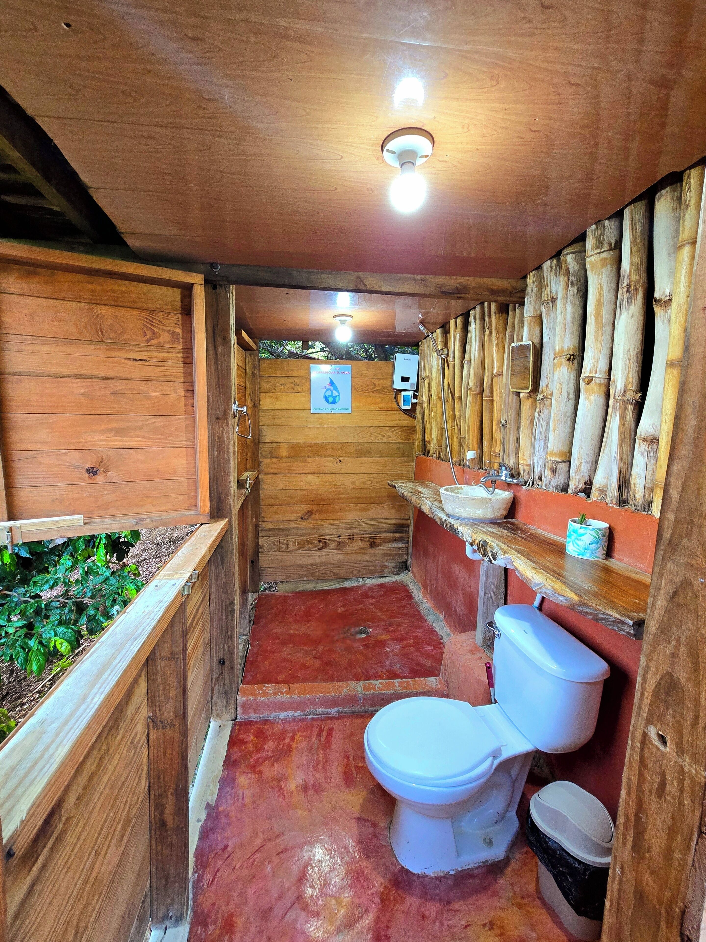 Shower, towels, soap, toilet paper