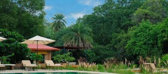 Aloof The Jungle Lodge Ghanerao