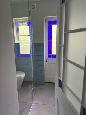Een badkamer met toilet, een douchecabine van glas en een deur met ruitverdeling.