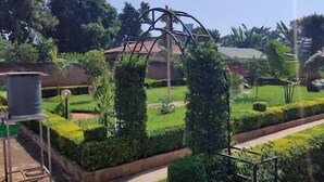 Ein gepflegter Garten mit ordentlich geschnittenen Hecken, einer Metallkonstruktion und verschiedenen tropischen Pflanzen.