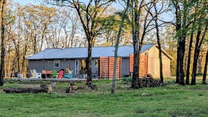 A cabin with a metal roof, surrounded by trees and a grassy area.