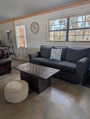 Smart TV, fireplace, books, computer monitors